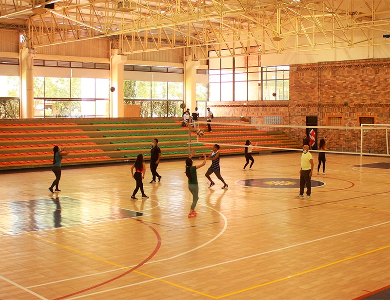 campus-coliseo