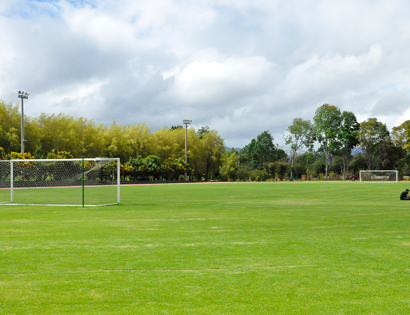 cancha-futbol